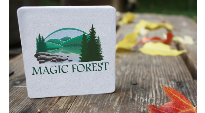 Magic Forest